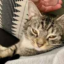 Thumbnail photo of Roger #1