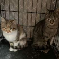 Thumbnail photo of Tina #1