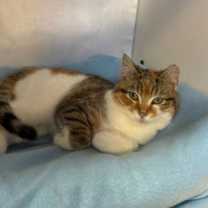 Thumbnail photo of Tina #2