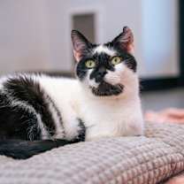 Thumbnail photo of Bodey #2