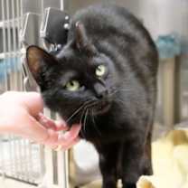 Thumbnail photo of Mia #2