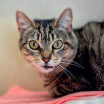 Thumbnail photo of Lora #2