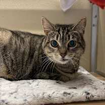 Thumbnail photo of Lora #3