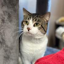 Thumbnail photo of Mike #1