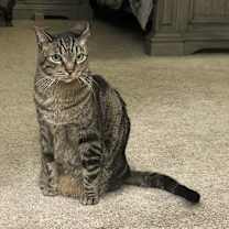 Thumbnail photo of Annah #1