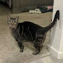 Thumbnail photo of Annah #2