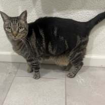 Thumbnail photo of Annah #3