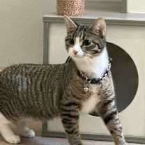 Thumbnail photo of Dylan #2