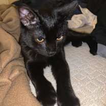 Thumbnail photo of Jack #3