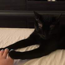 Thumbnail photo of Jack #4