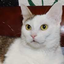 Thumbnail photo of Wilma #1