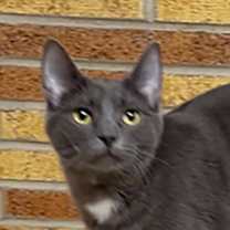 Thumbnail photo of Sporty Spice #1