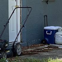 Thumbnail photo of Sphen #4