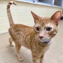 Thumbnail photo of Rodger #3
