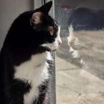 Thumbnail photo of Baylee #4