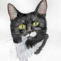 Thumbnail photo of Shrek #3