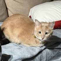 Thumbnail photo of Farro #3