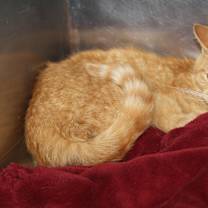 Thumbnail photo of Pilot (Photos April 2025) #1