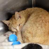 Thumbnail photo of Pilot (Photos April 2025) #4