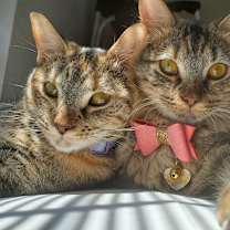 Thumbnail photo of Tera & Nora #1