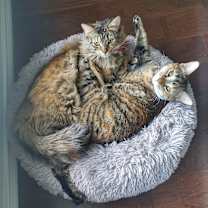 Thumbnail photo of Tera & Nora #4