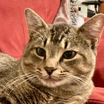 Thumbnail photo of Bubba #1