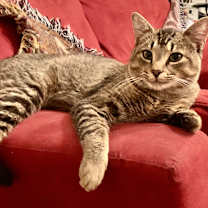 Thumbnail photo of Bubba #2