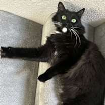 Thumbnail photo of Wendy & Tinkerbel #2