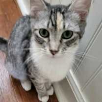 Thumbnail photo of Noel #2