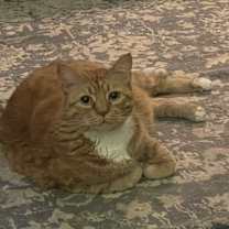 Thumbnail photo of Zeb #1