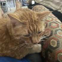 Thumbnail photo of Zeb #4