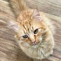 Thumbnail photo of Riley #1