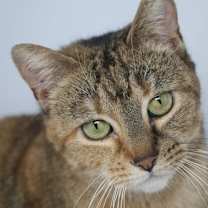 Thumbnail photo of Lauralei #1