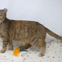 Thumbnail photo of Lauralei #2