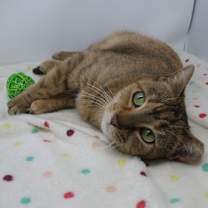 Thumbnail photo of Lauralei #4