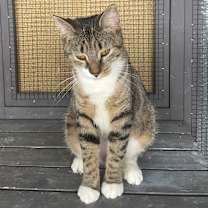 Thumbnail photo of Mota #2