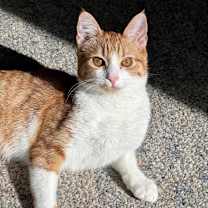 Thumbnail photo of Princess #1