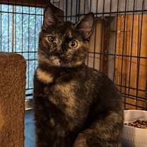 Thumbnail photo of Camille #1