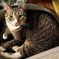 Thumbnail photo of Maria #2