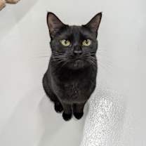 Thumbnail photo of Meep #1