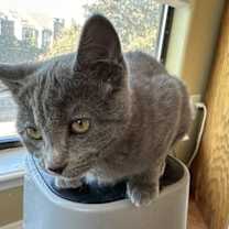 Thumbnail photo of Nikita #2