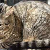 Thumbnail photo of Dee Maria #2