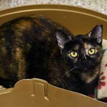 Thumbnail photo of Bailee #2