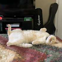 Thumbnail photo of Ember #3