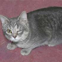 Thumbnail photo of Faith #1