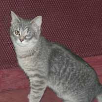 Thumbnail photo of Faith #2