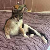 Thumbnail photo of Patchwork Quilt #3