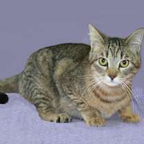 Thumbnail photo of Flory #2