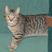 Thumbnail photo of Flory #3