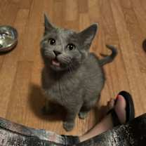 Thumbnail photo of Nikita #4
